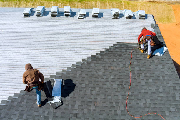 Best Roof Insulation Installation  in Earlvle, IL